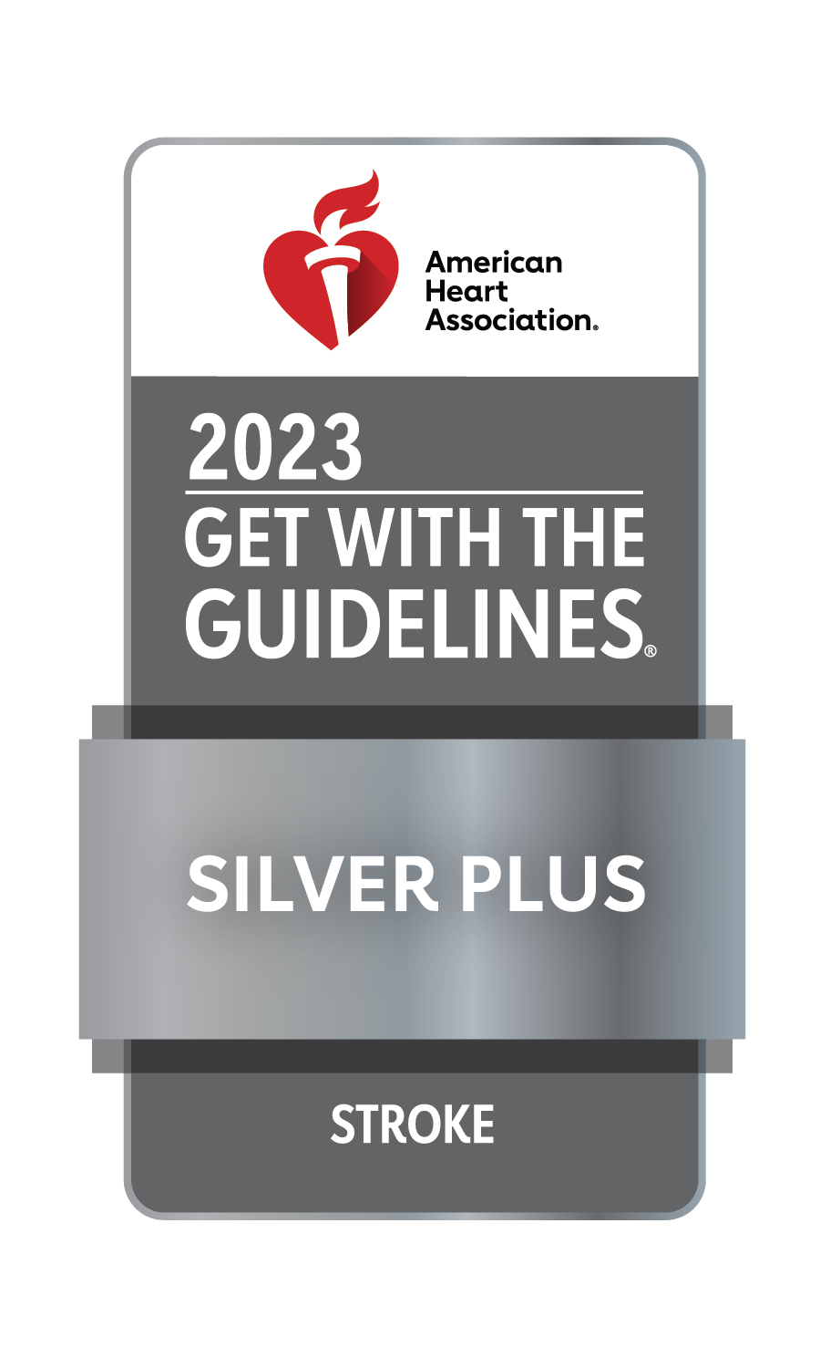 2023 Get With The Guidelines Silver Plus Stroke